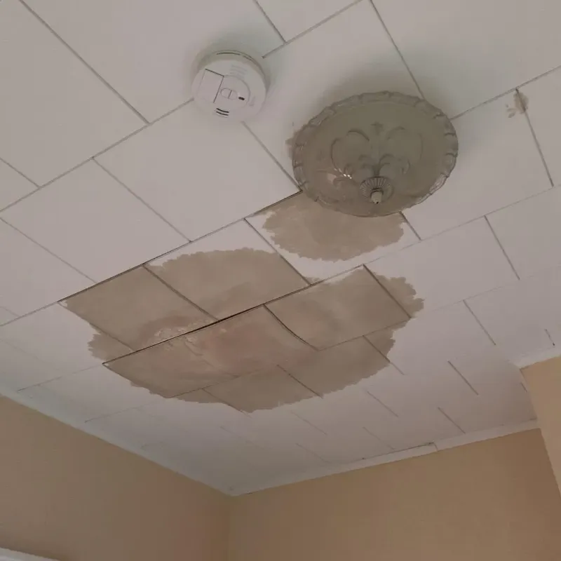 Ceiling Water Damage Repair in North Seekonk, MA