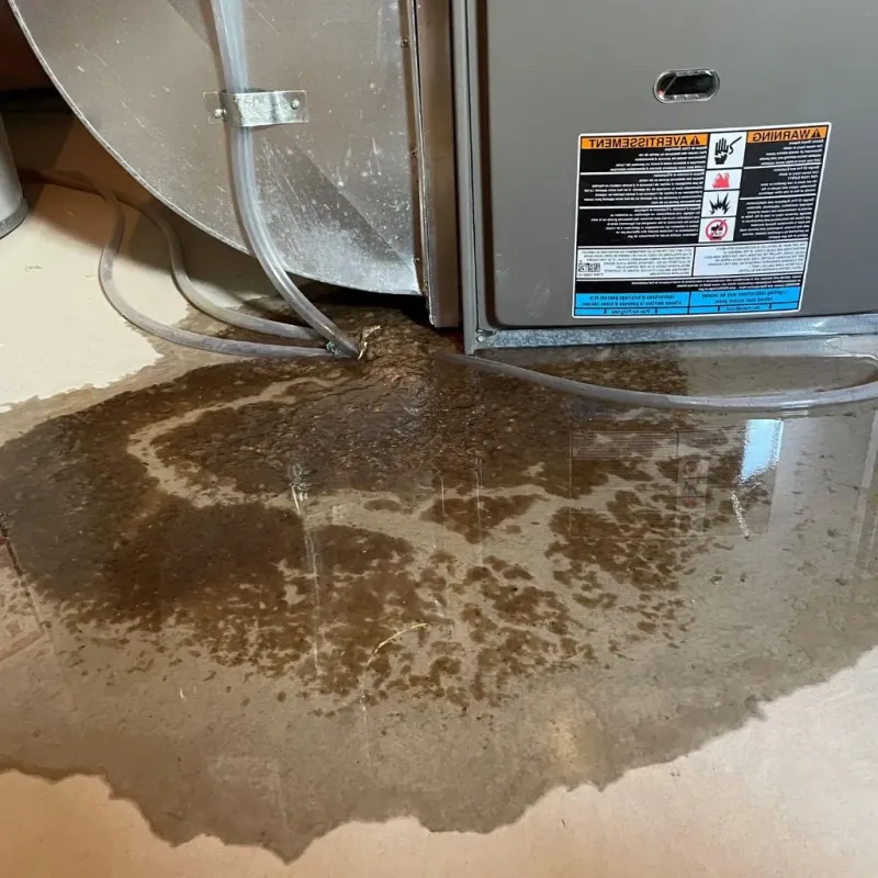 Pipe Burst and Leak Restoration in North Seekonk, MA