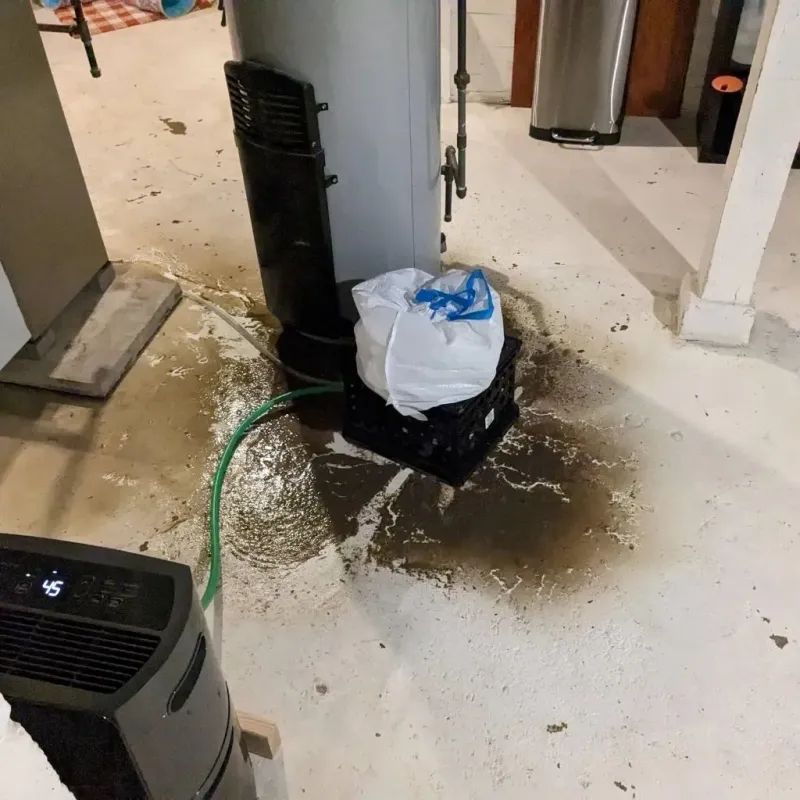 Sewage Backup Cleanup Service in North Seekonk, MA